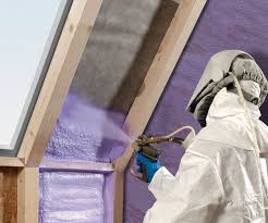 Best Eco-Friendly or Green Insulation Solutions  in Clive, IA